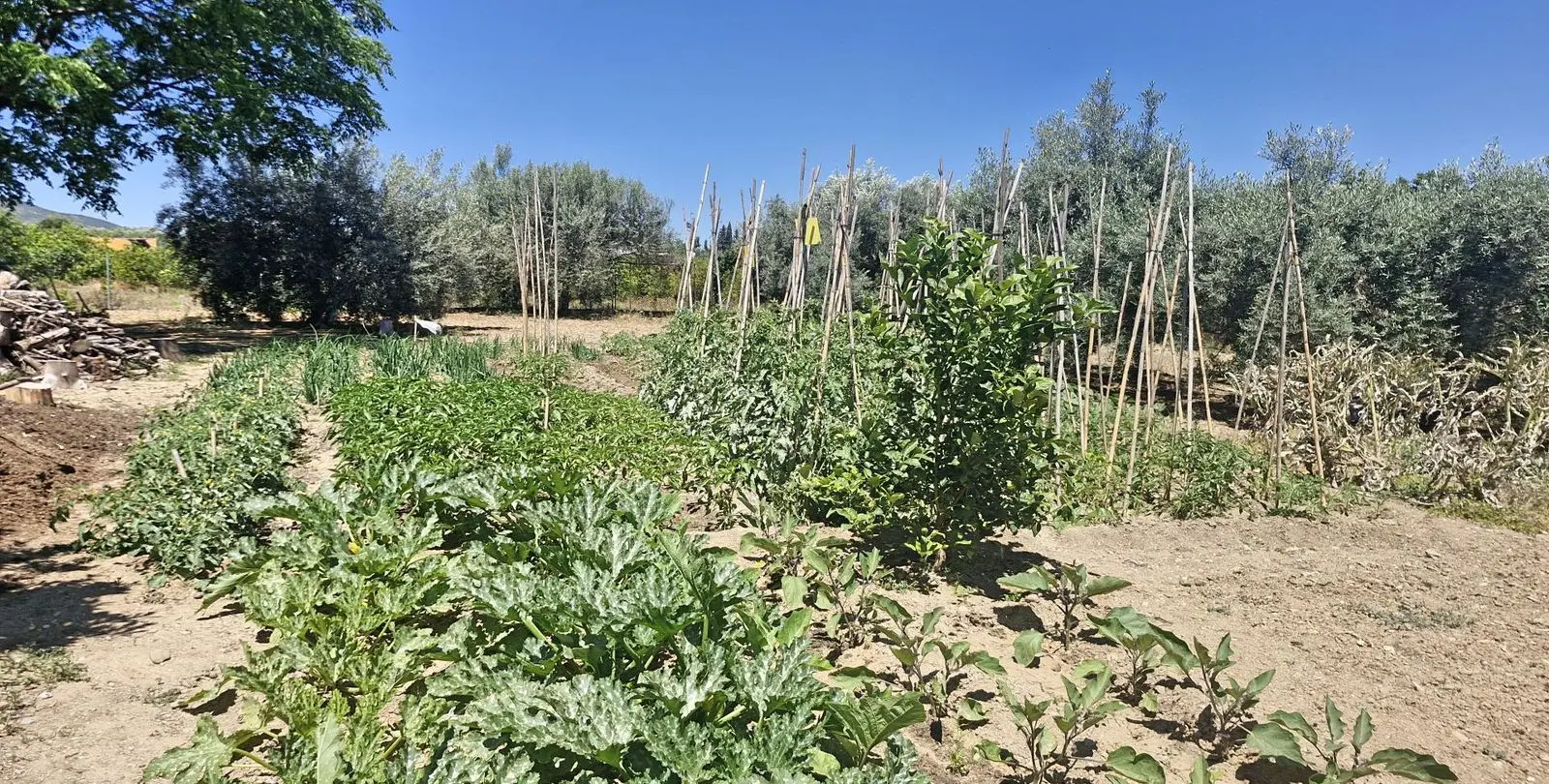 Sale of finca - cortijo in Campanillas 11