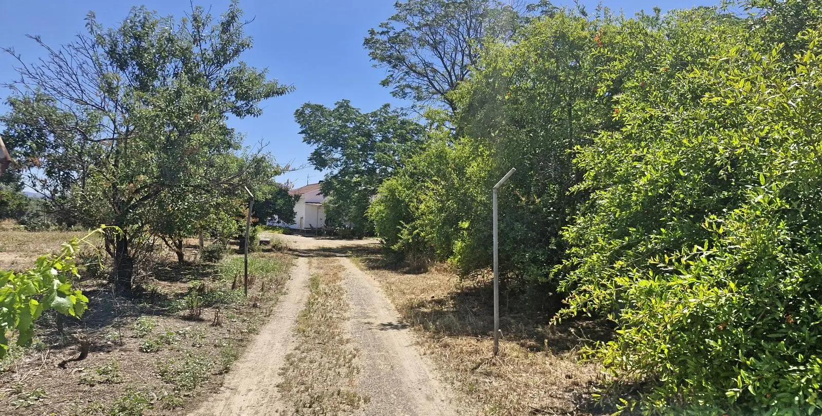 Sale of finca - cortijo in Campanillas 12