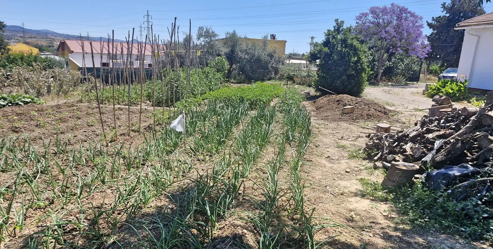 Sale of finca - cortijo in Campanillas 18