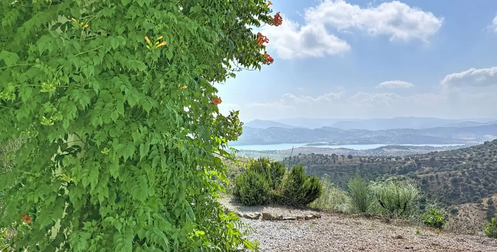 Sale of detached villa in Canillas de Aceituno 3