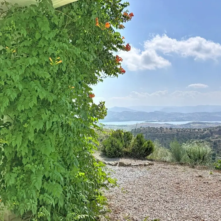 Sale of detached villa in Canillas de Aceituno