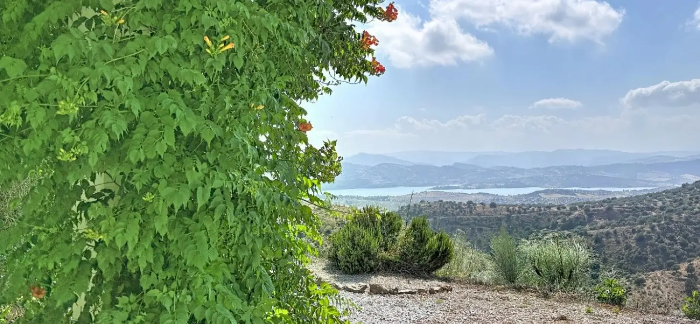 Sale of detached villa in Canillas de Aceituno 2