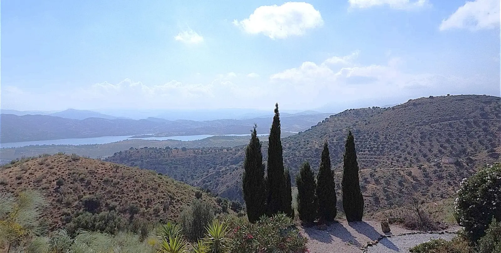 Sale of detached villa in Canillas de Aceituno 6