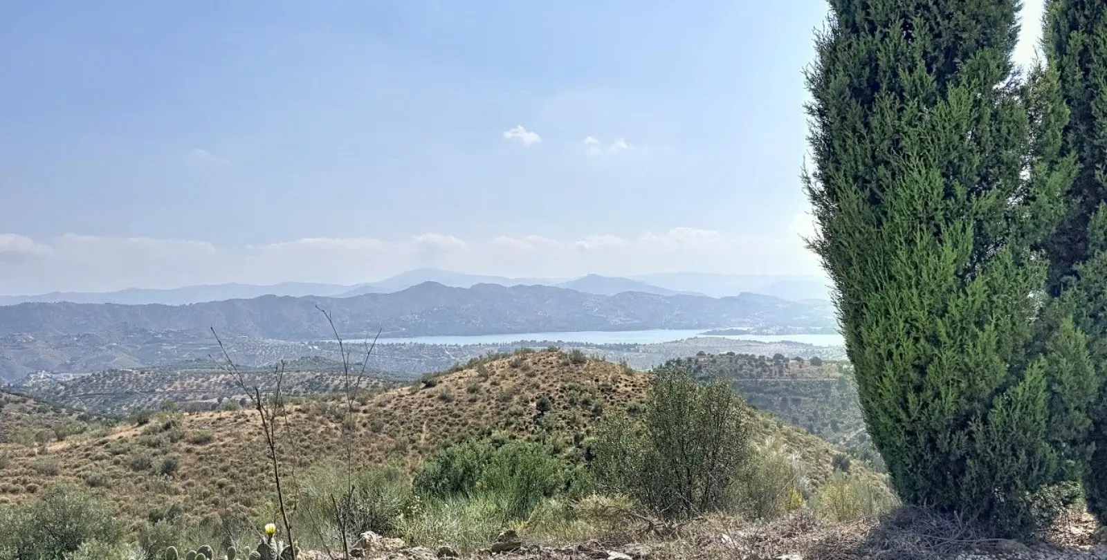 Sale of detached villa in Canillas de Aceituno 39