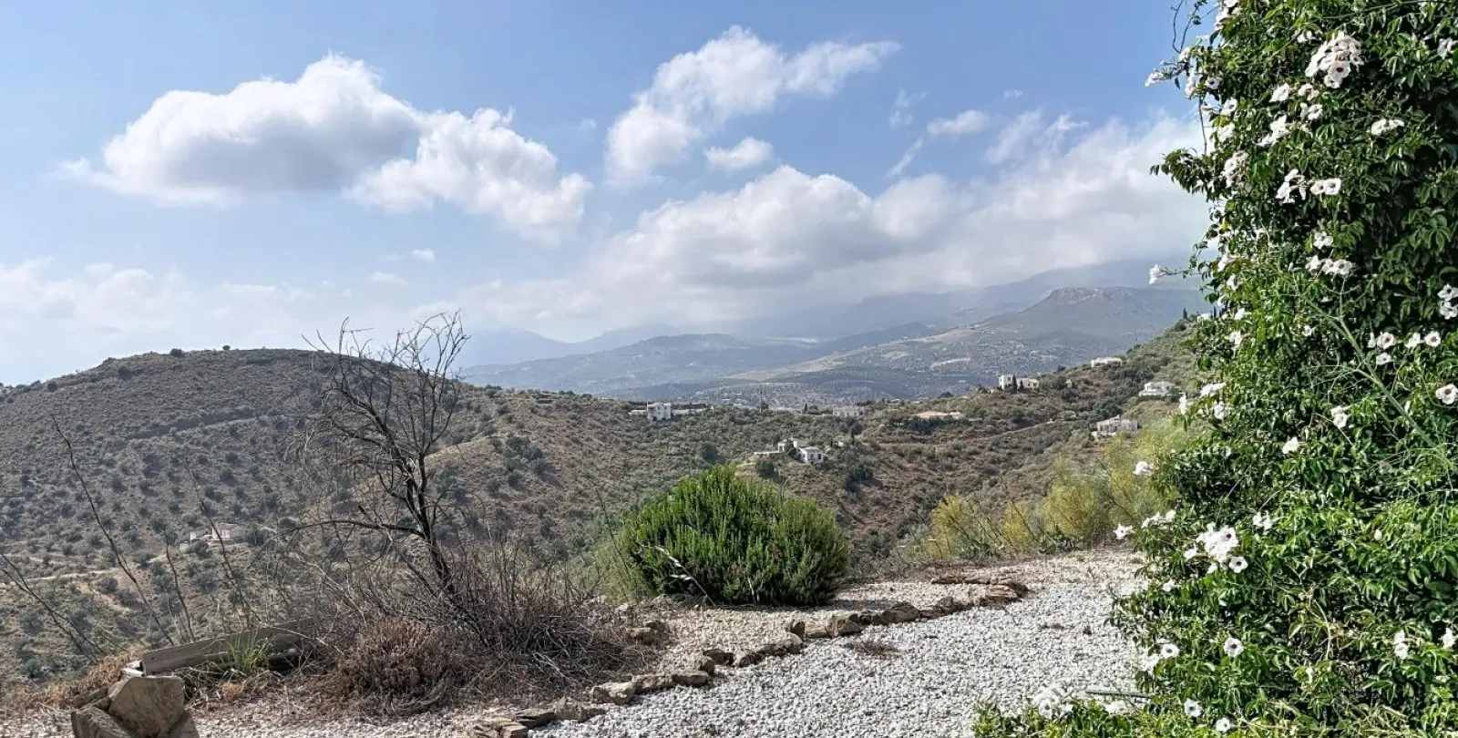 Sale of detached villa in Canillas de Aceituno 40