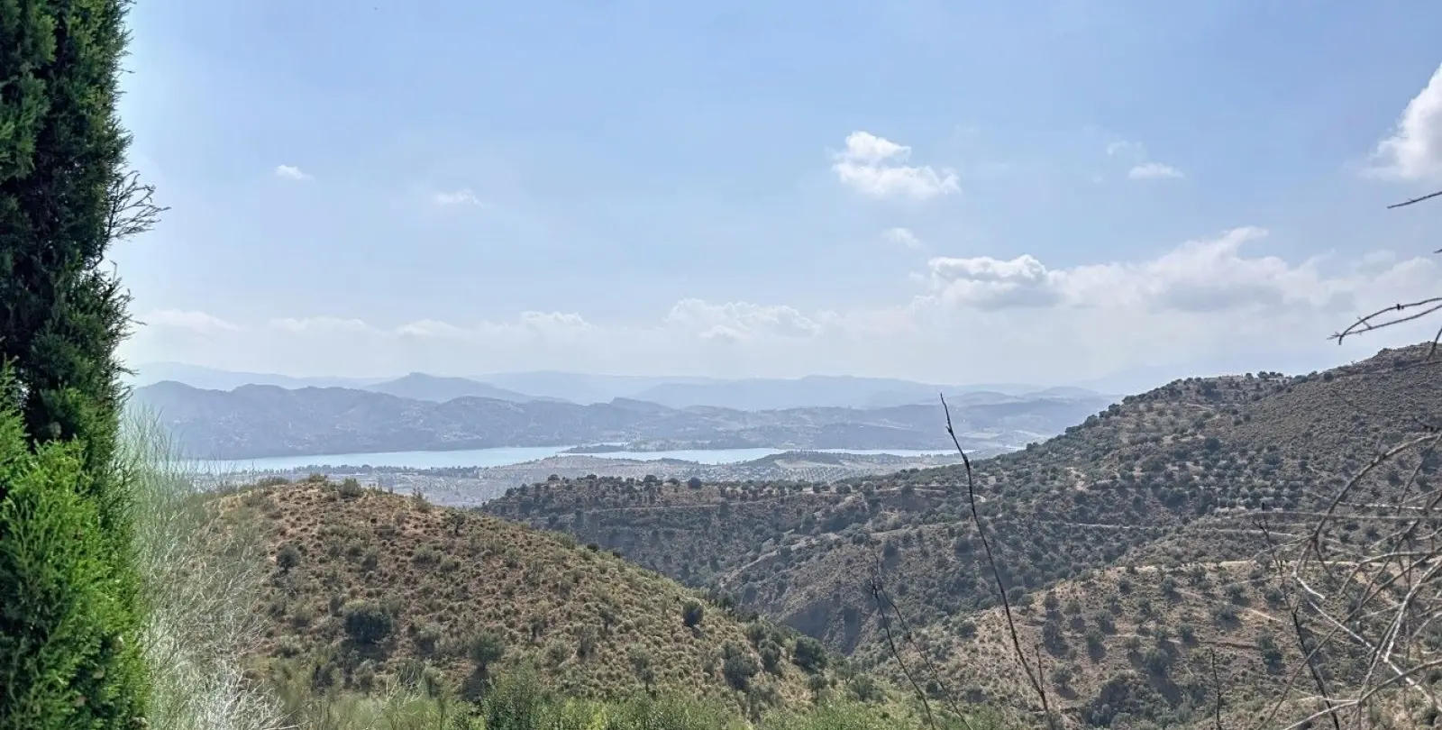 Sale of detached villa in Canillas de Aceituno 41