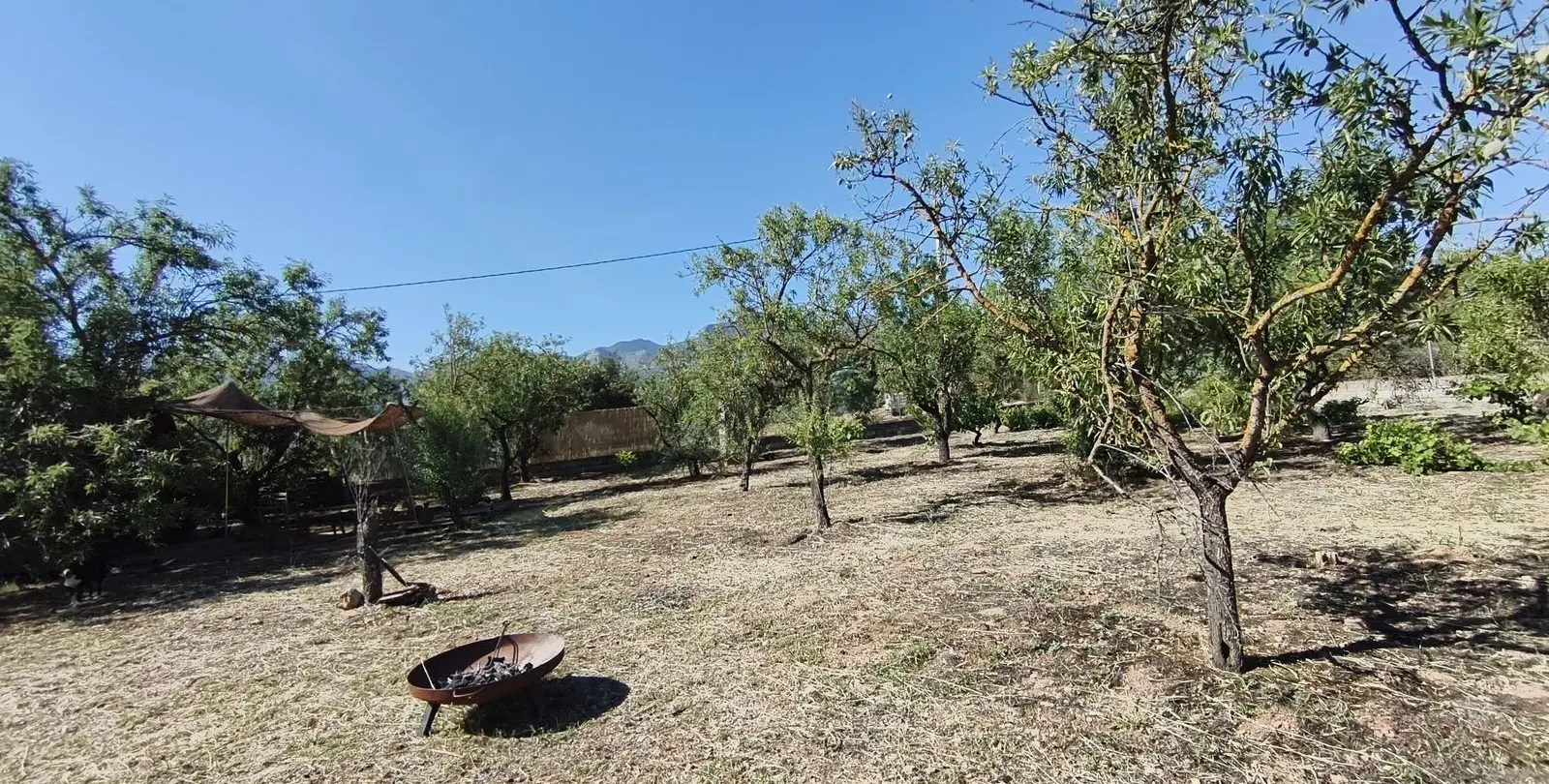 Sale of finca - cortijo in Alhaurín el Grande 31