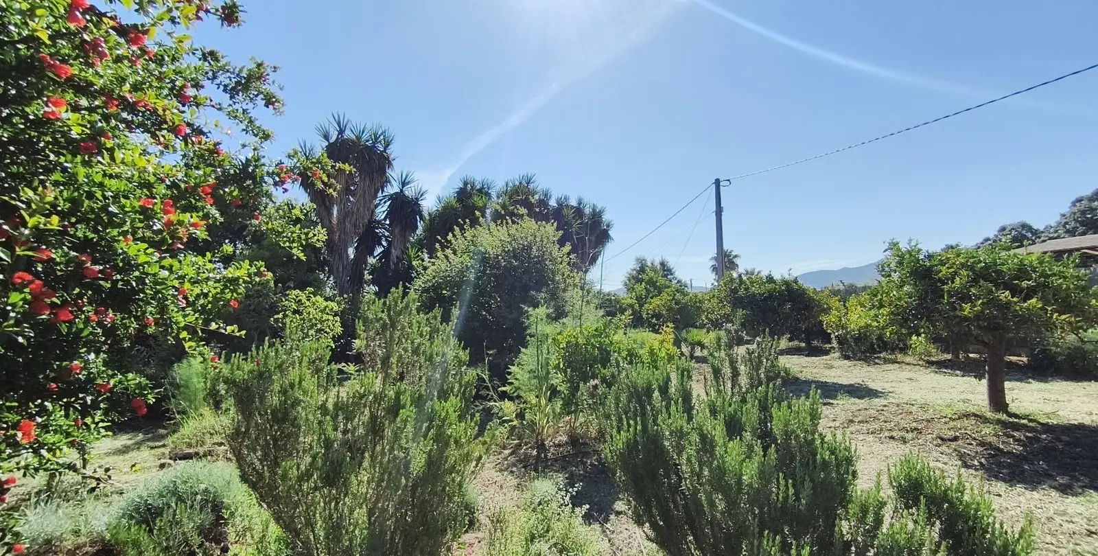Sale of finca - cortijo in Alhaurín el Grande 32