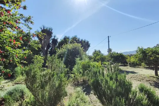 Image 32 thumb