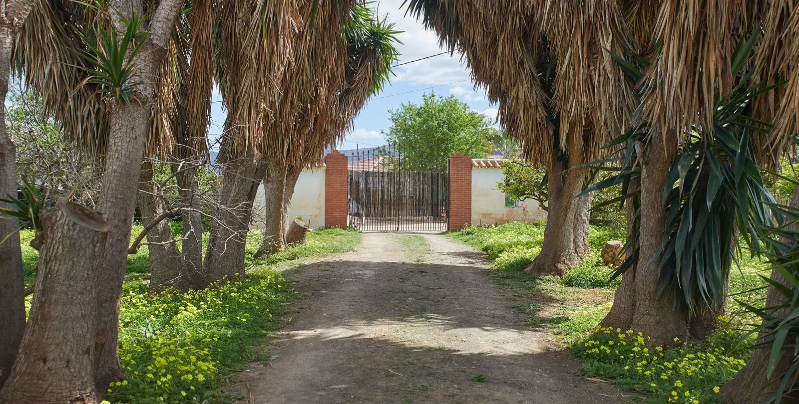 Sale of finca - cortijo in Alhaurín el Grande 33