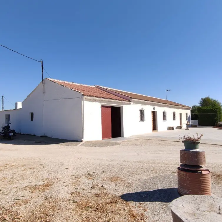 Venta de finca - cortijo en Ronda
