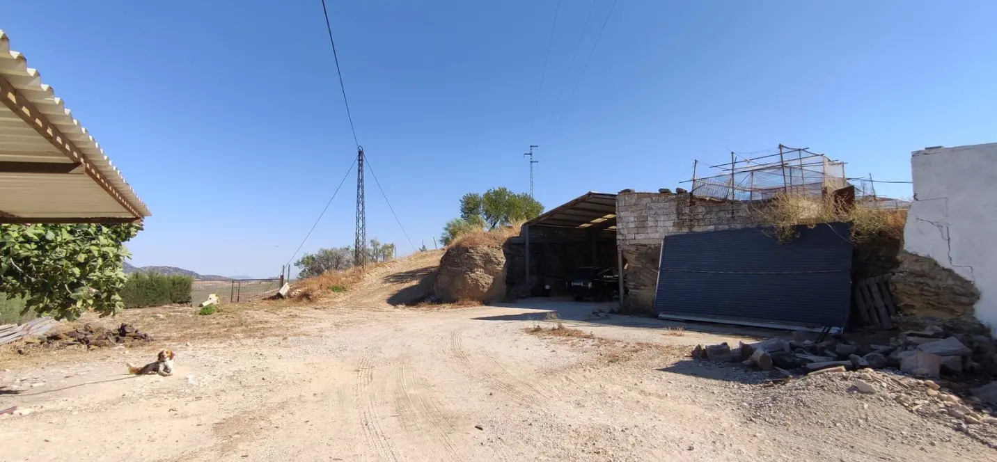Venta de finca - cortijo en Ronda 2