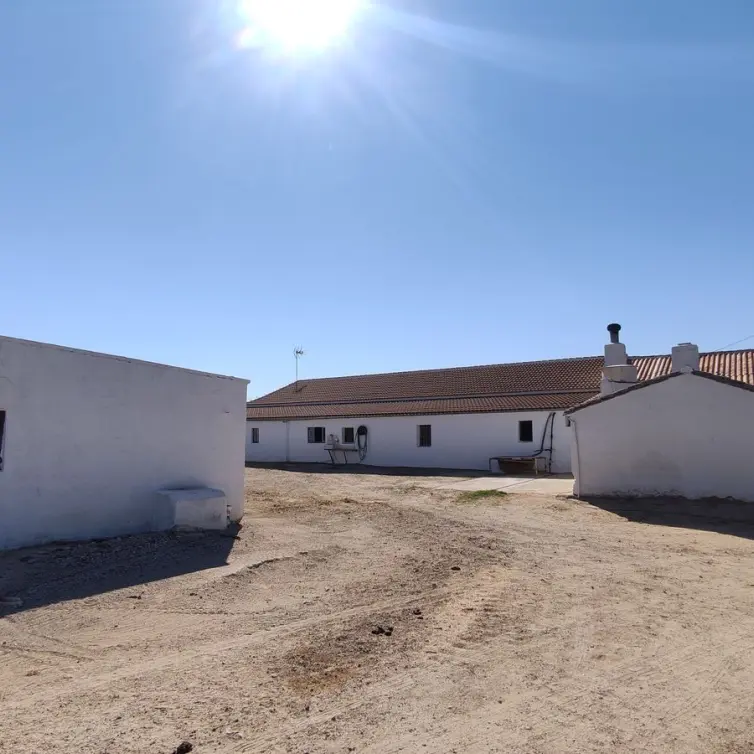 Venta de finca - cortijo en Ronda