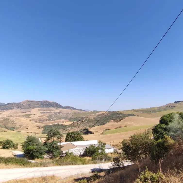 Venta de finca - cortijo en Ronda