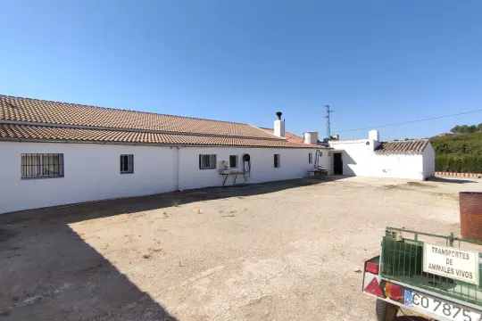 Image 18 thumb