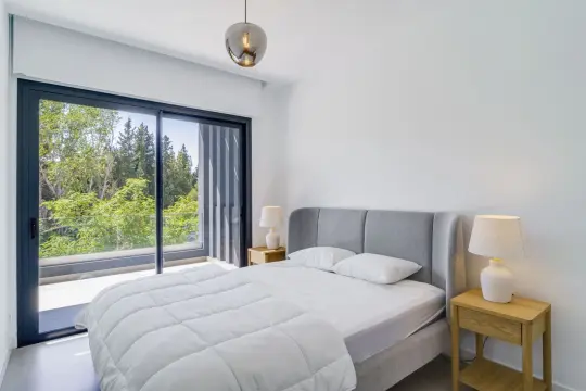 Image 13 thumb