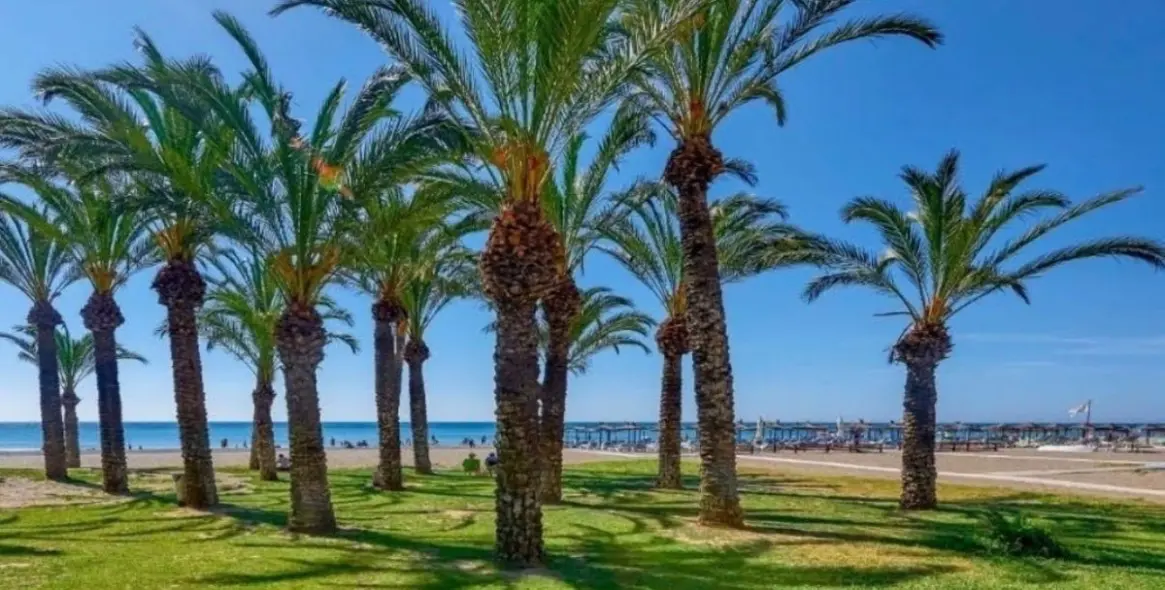 Sale of duplex in Torremolinos 25