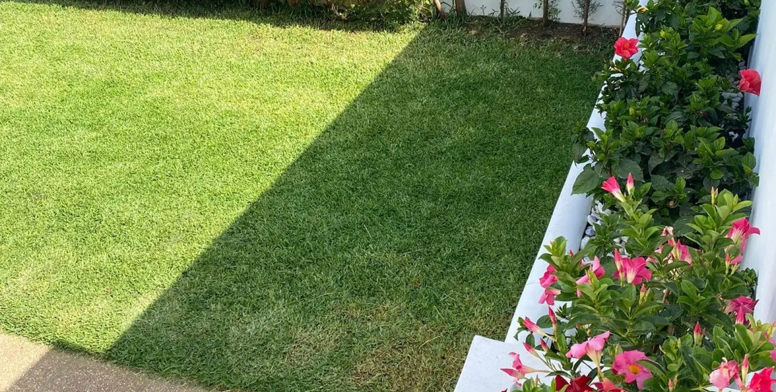 Sale of detached villa in Fuengirola 3