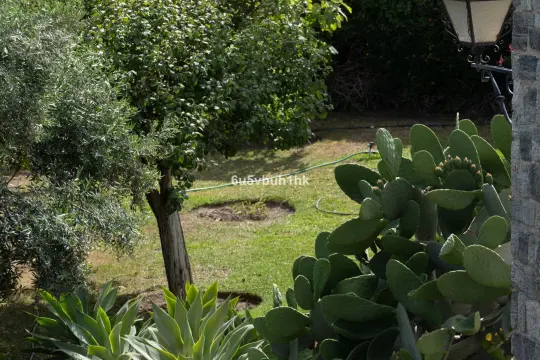 Image 6 thumb