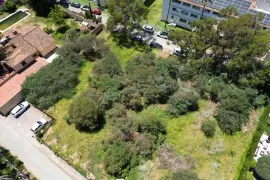 Image 7 thumb