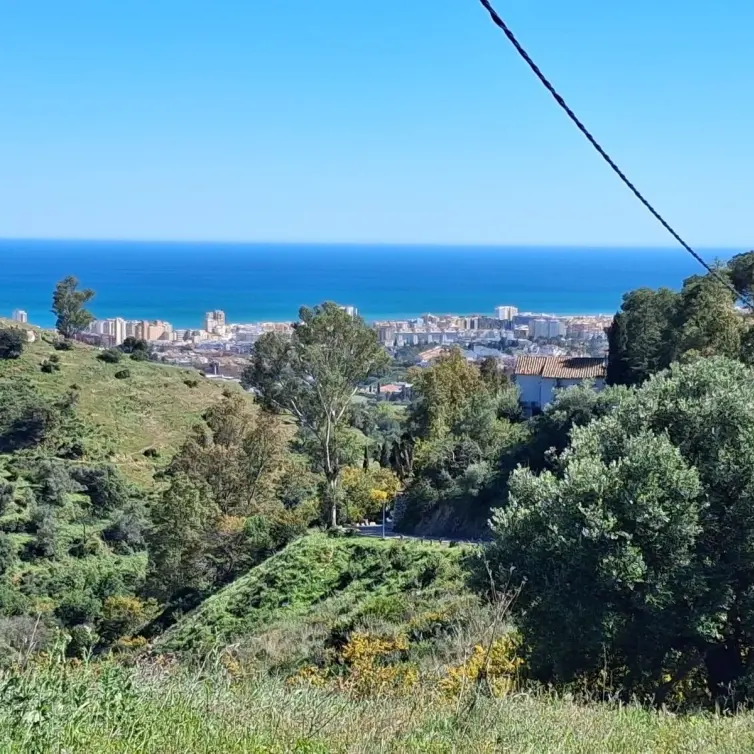 Sale of detached villa in Mijas