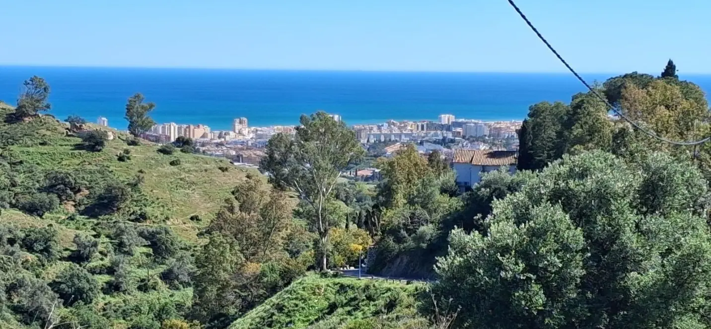 Sale of detached villa in Mijas 1