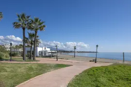 Image 4 thumb