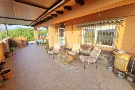 Image 8 thumb