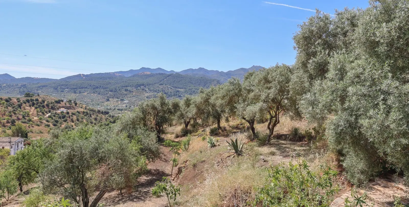 Sale of detached villa in Monda 2
