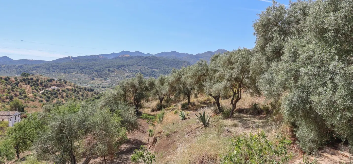 Venta de villa independiente en Monda 1