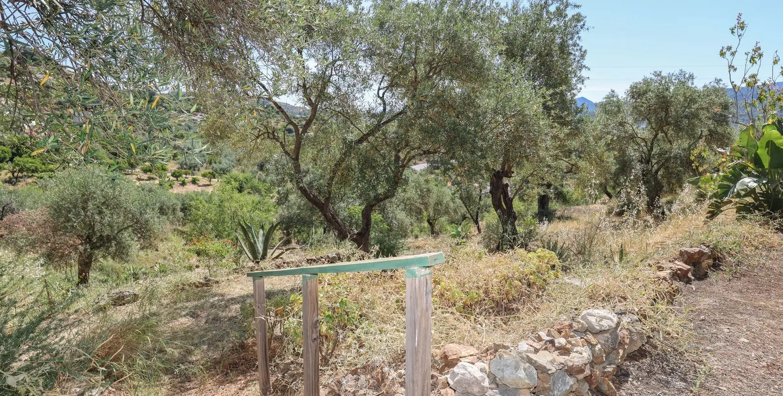 Sale of detached villa in Monda 37