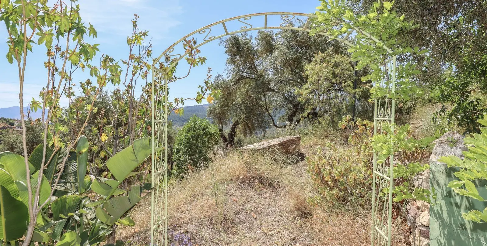Sale of detached villa in Monda 38