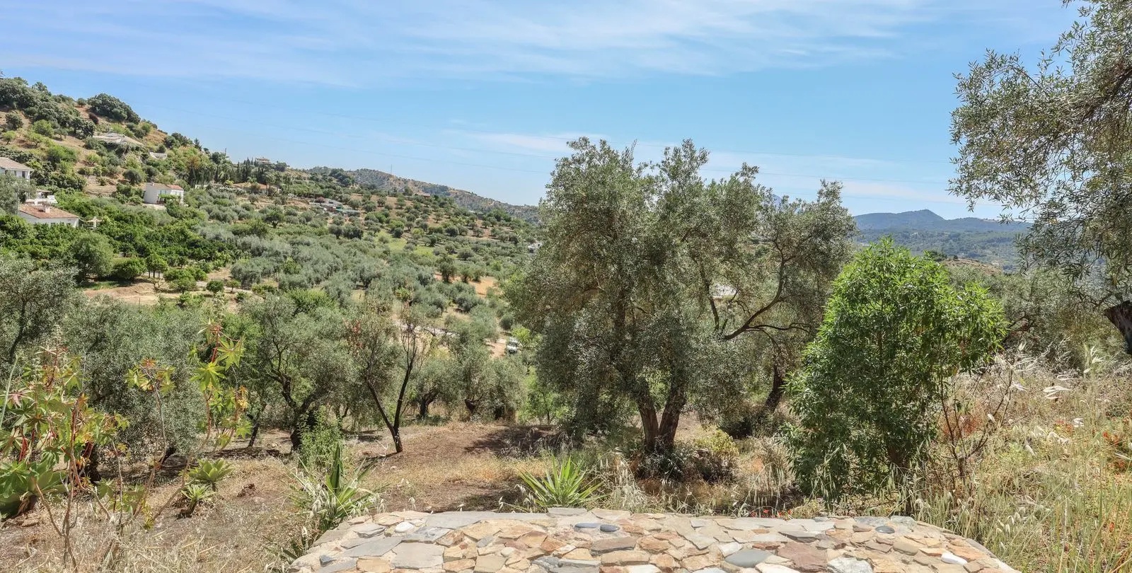 Sale of detached villa in Monda 39