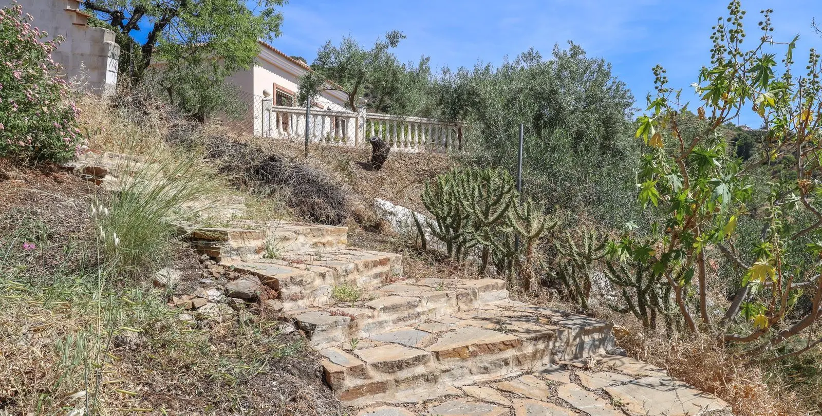 Sale of detached villa in Monda 41
