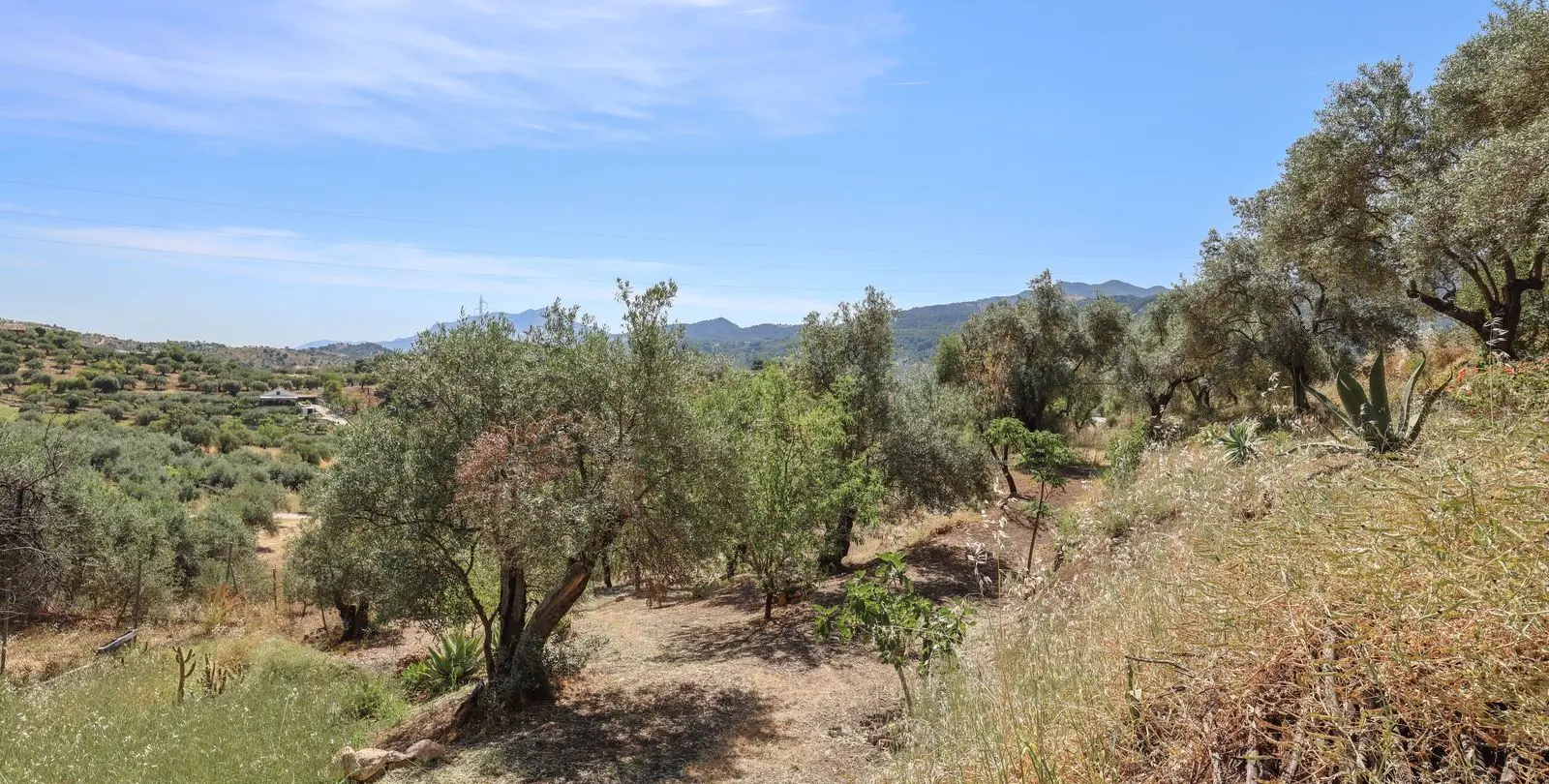 Sale of detached villa in Monda 43