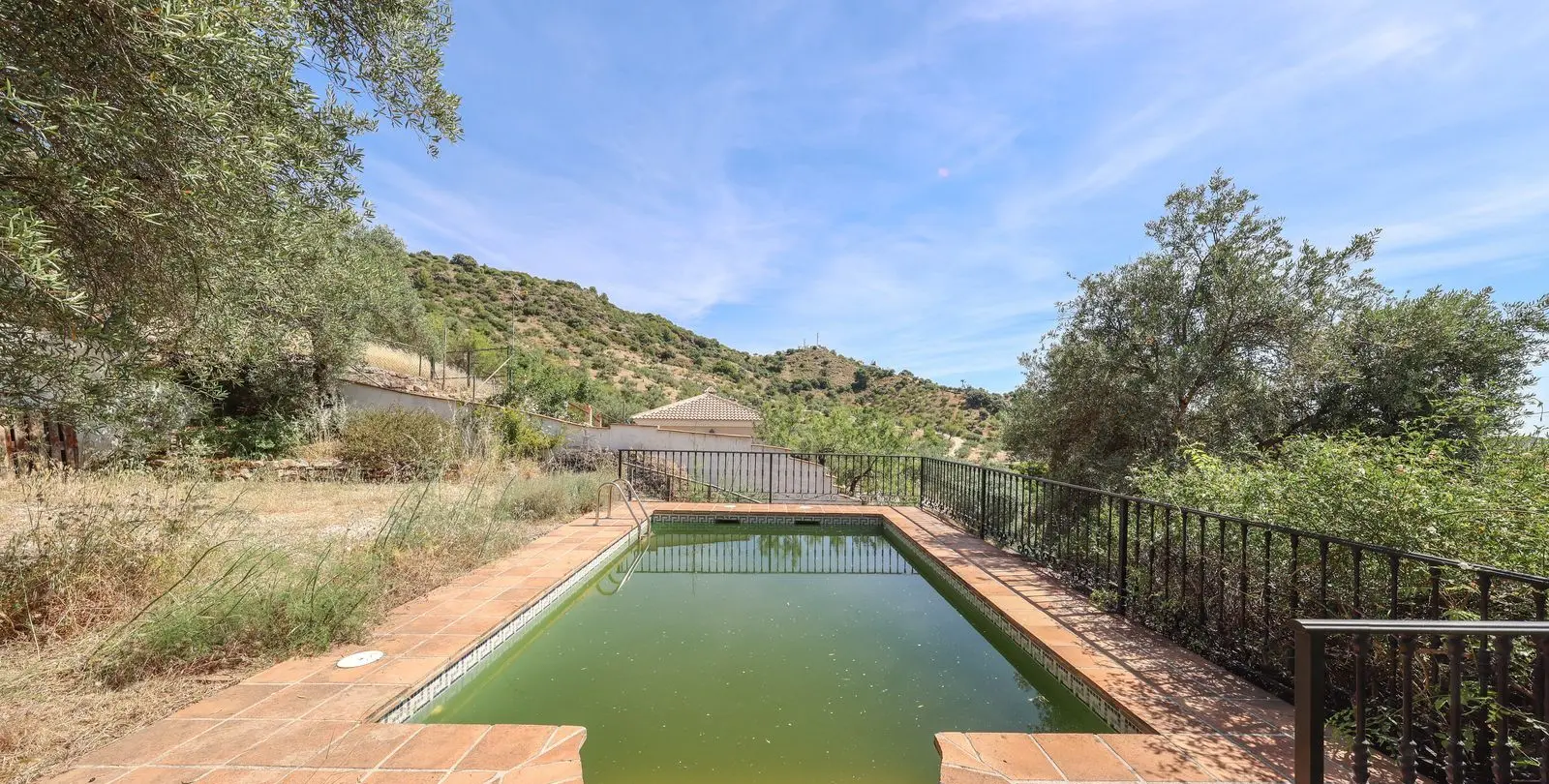 Sale of detached villa in Monda 44