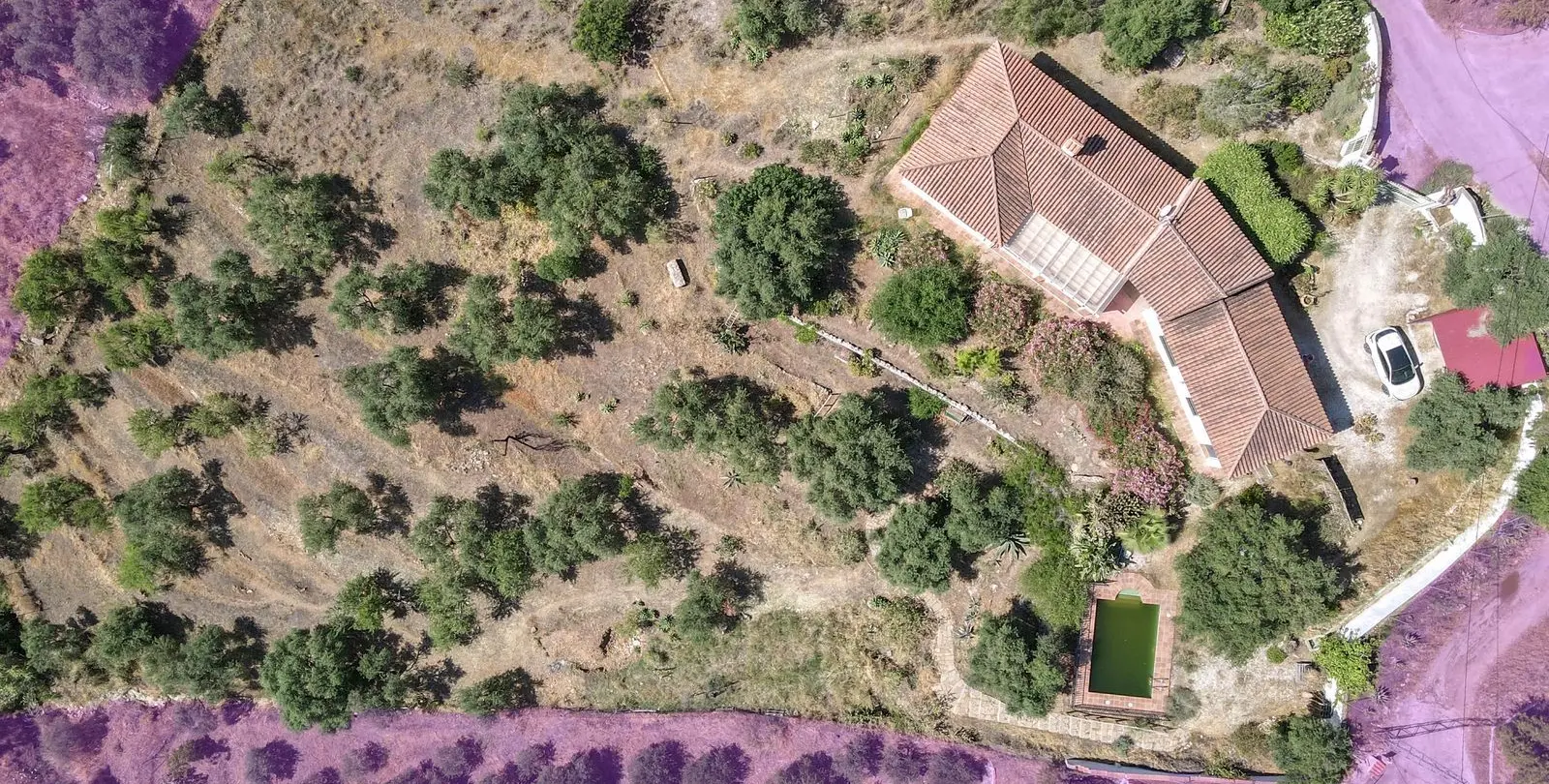 Sale of detached villa in Monda 45