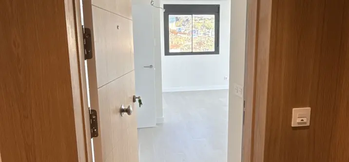 Продажа пентхауса в Casares 1