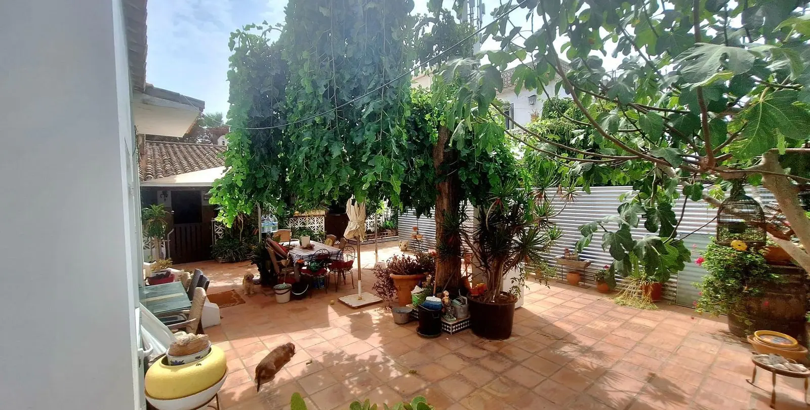Sale of detached villa in Costabella 6