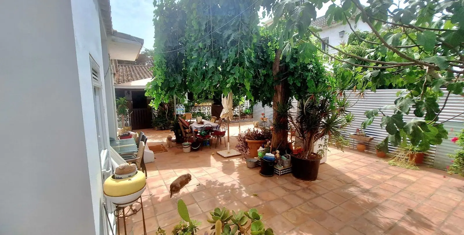 Sale of detached villa in Costabella 7