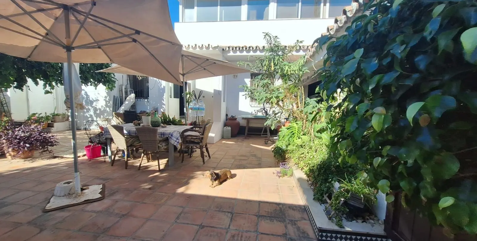 Sale of detached villa in Costabella 22