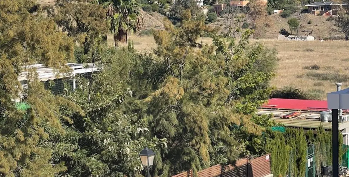 Sale of middle floor apartment in Atalaya 9