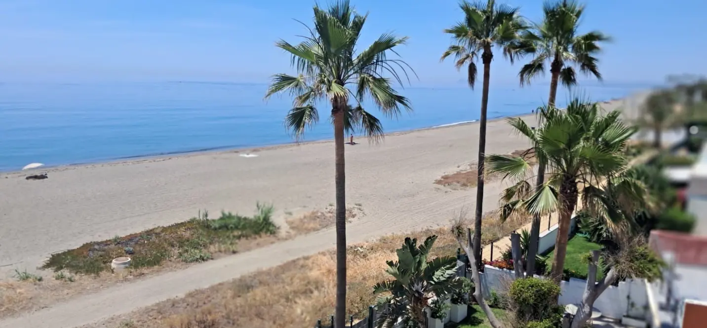Sale of detached villa in Estepona 0