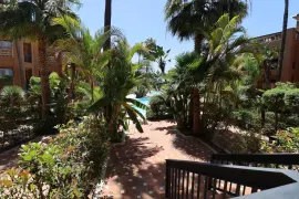 Image 7 thumb