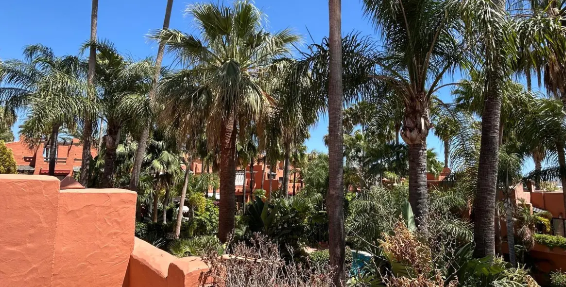 Venta de casa pareada en The Golden Mile 17