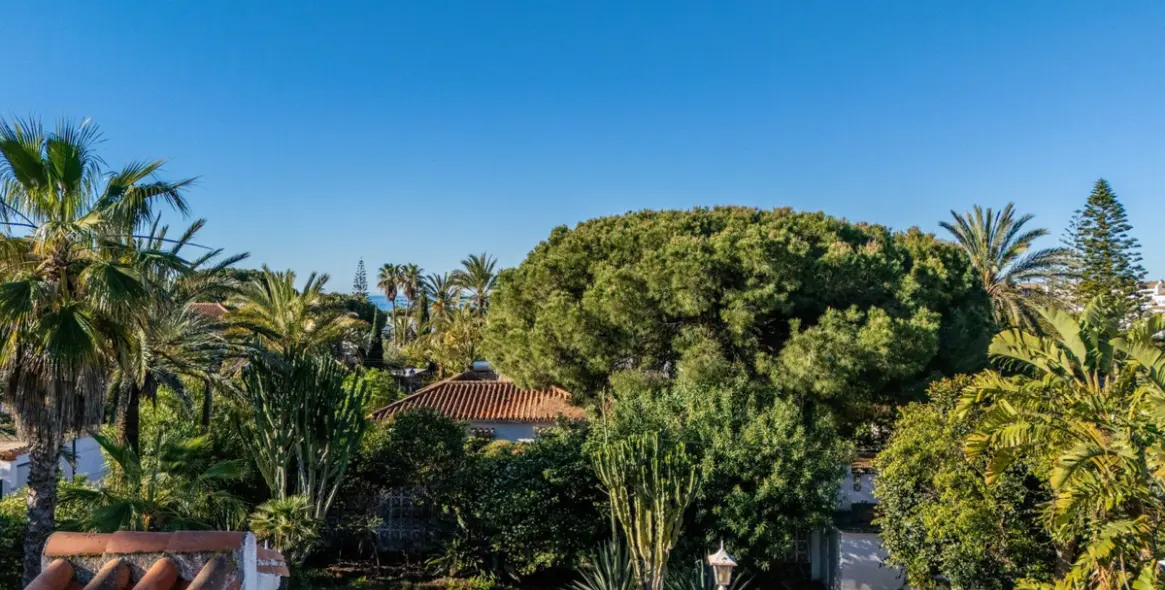 Venta de villa independiente en Marbesa 19