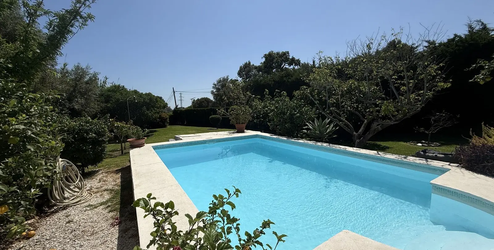 Sale of finca - cortijo in Estepona 1
