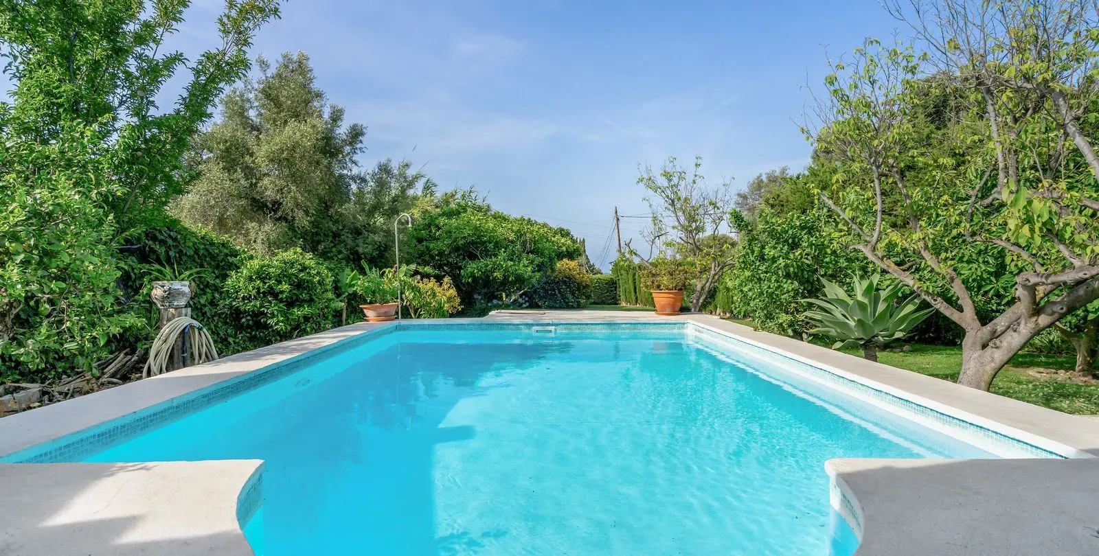 Sale of finca - cortijo in Estepona 5