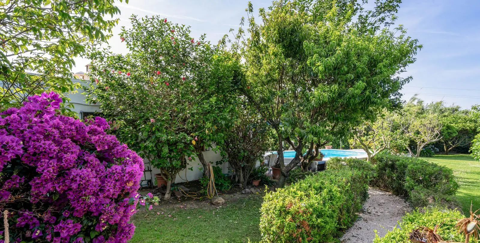 Sale of finca - cortijo in Estepona 6