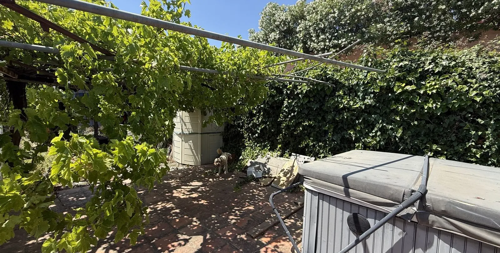 Sale of finca - cortijo in Estepona 28